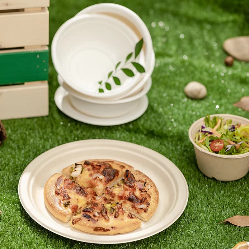 Bagasse Tableware